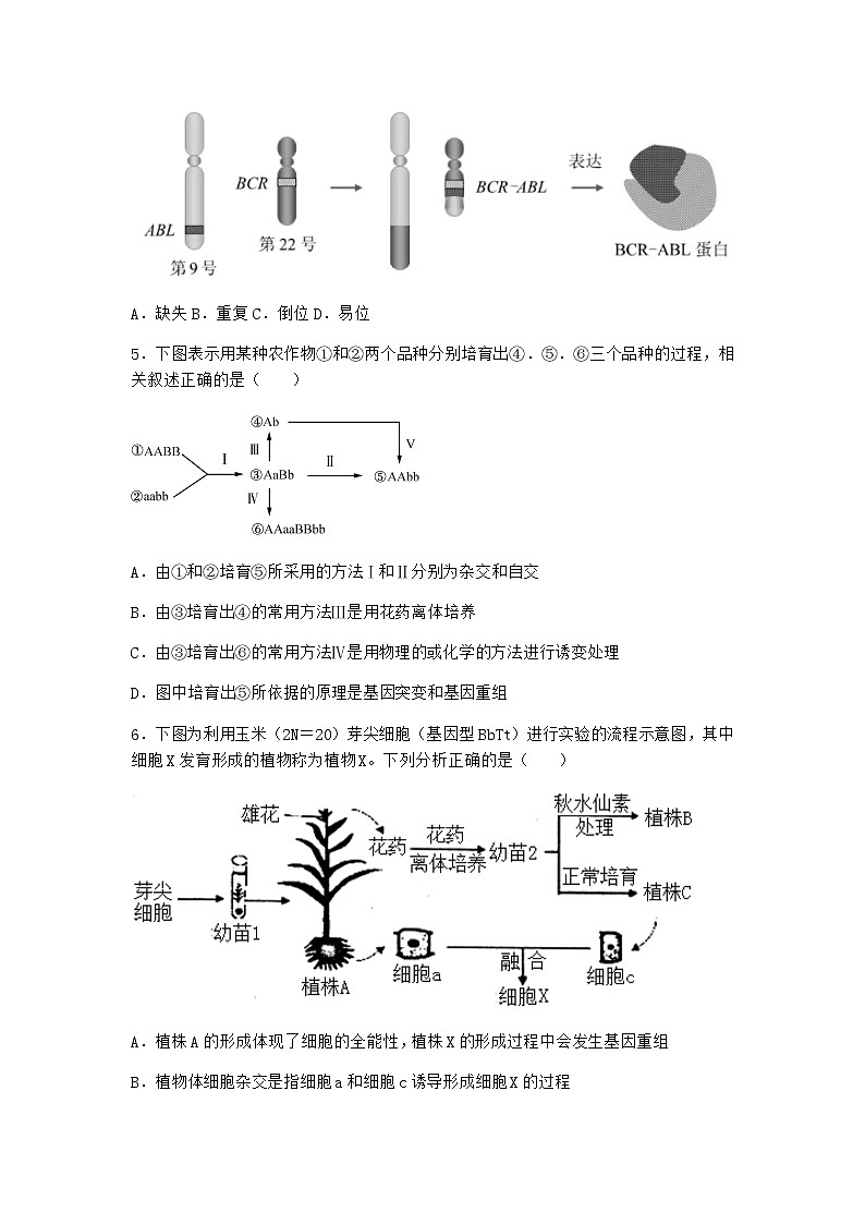 沪教版高中生物必修2第二节染色体变异优选作业含答案4第2页
