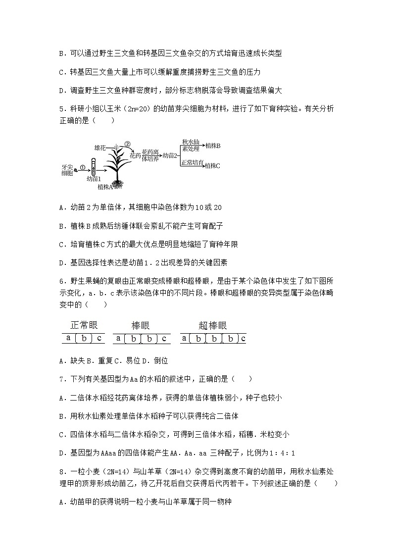 沪教版高中生物必修2第二节染色体变异优选作业含答案5第2页