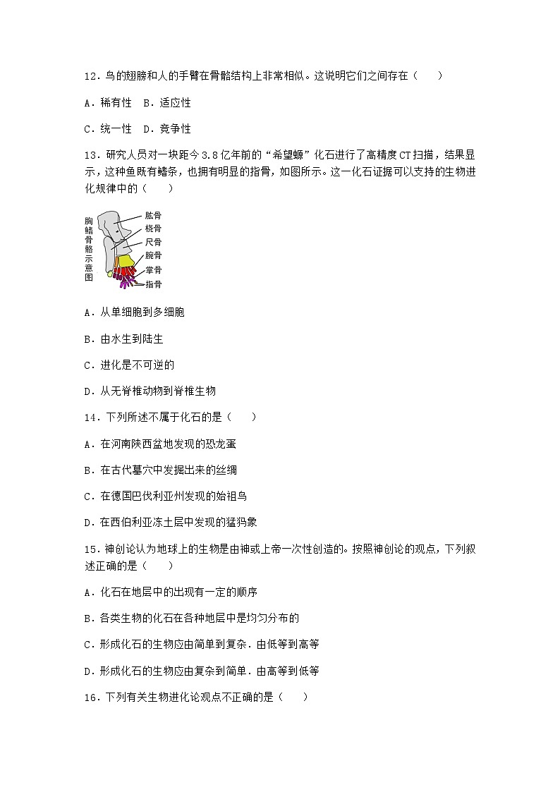 沪教版高中生物必修2第一节现存物种来自共同的祖先优选作业含答案203