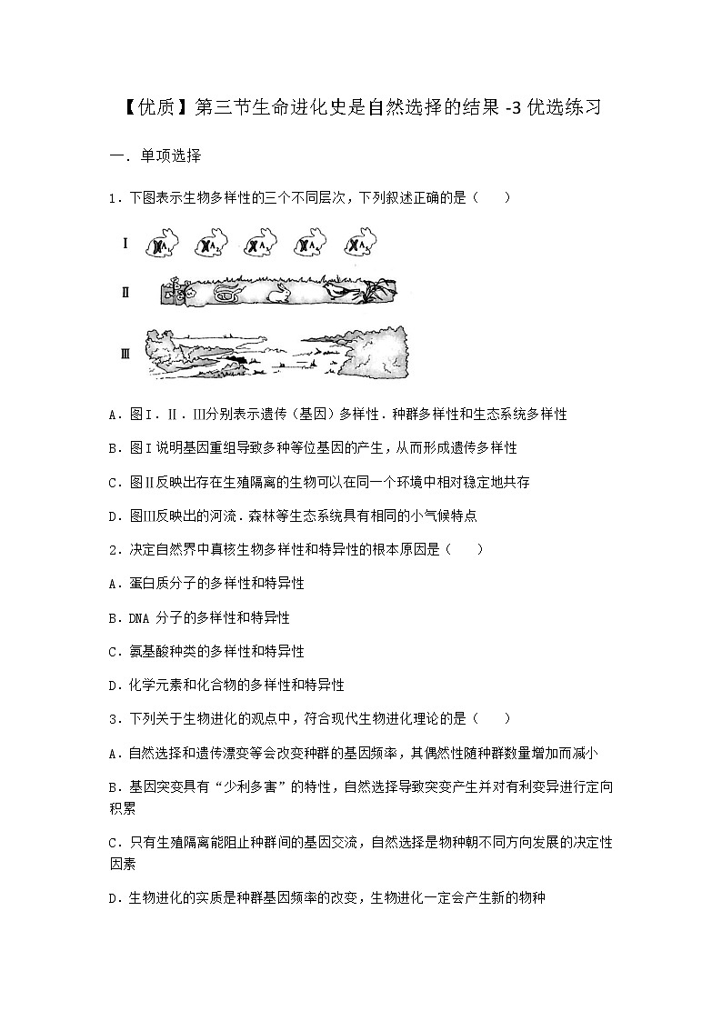沪教版高中生物必修2第三节生命进化史是自然选择的结果优选作业含答案601