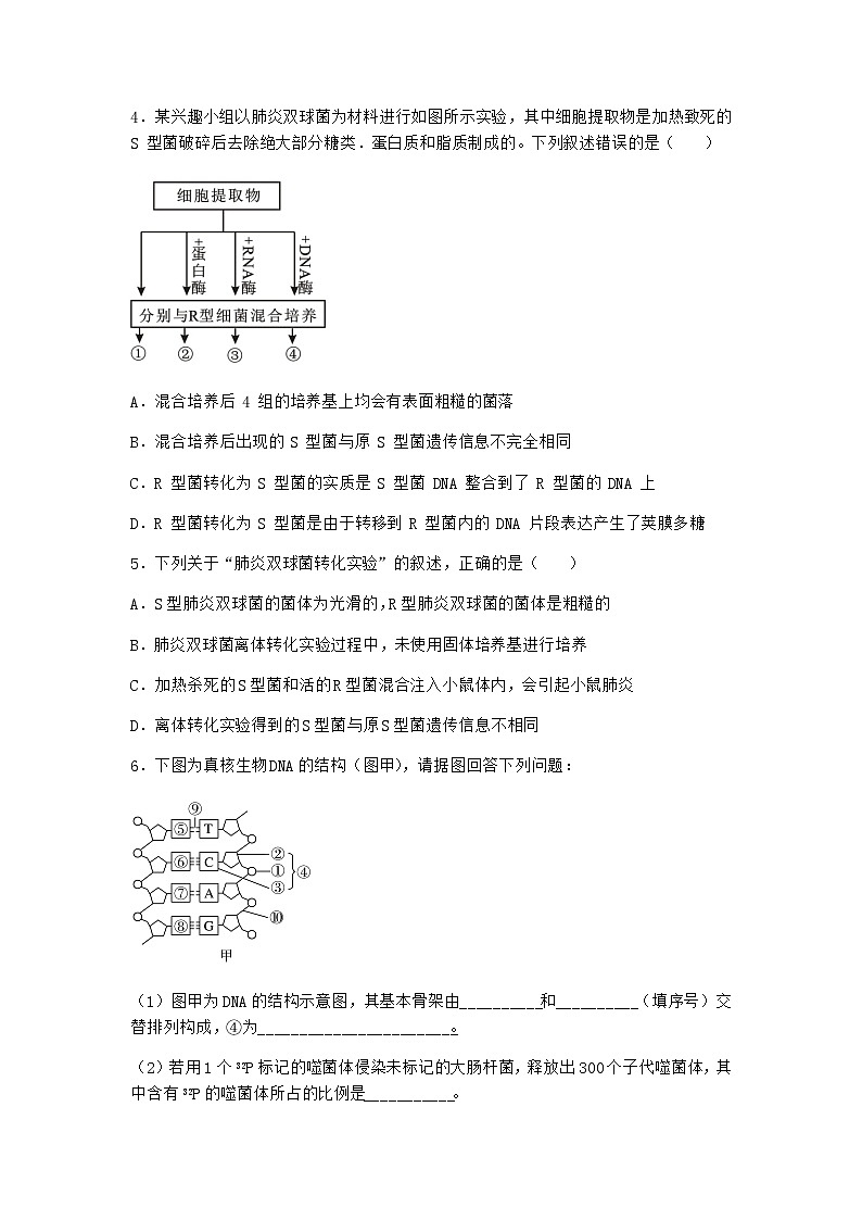 沪教版高中生物必修2第一节DNA是主要的遗传物质优质作业含答案1第2页
