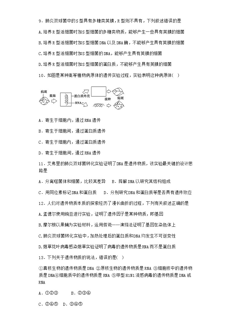 沪教版高中生物必修2第三节DNA分子的复制优质作业含答案1第3页