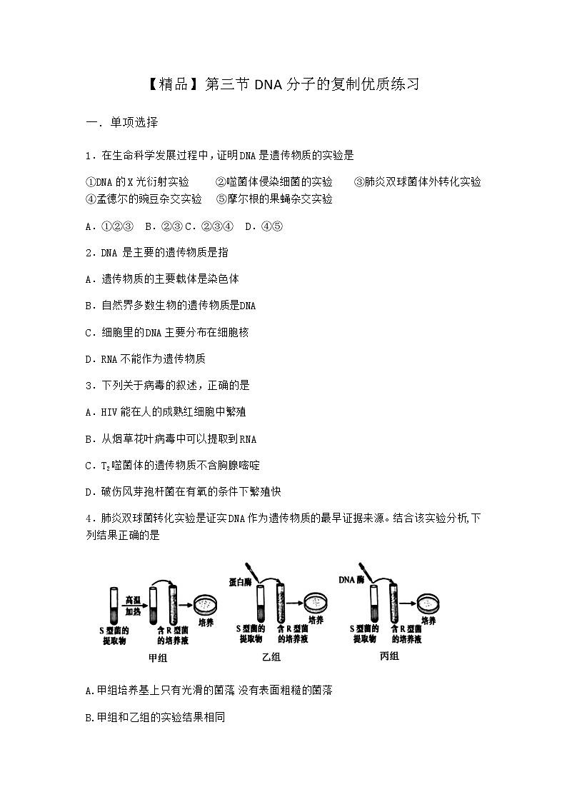 沪教版高中生物必修2第三节DNA分子的复制优质作业含答案301