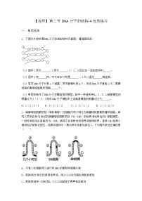 沪科版 (2019)必修2《遗传与进化》第一章 遗传信息主要编码在DNA分子上第二节 DNA 分子的结构测试题