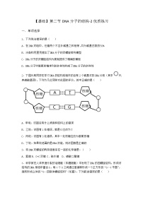 沪科版 (2019)必修2《遗传与进化》第二节 DNA 分子的结构课后练习题