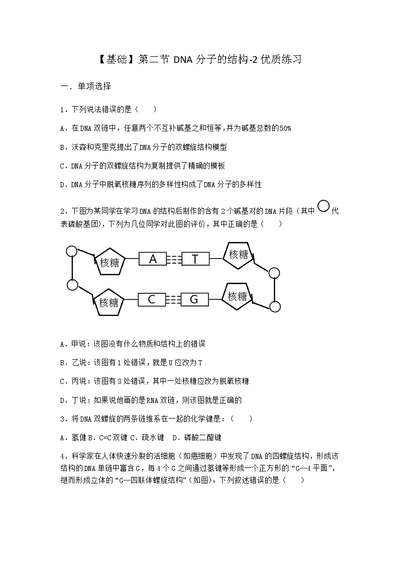 沪教版高中生物必修2第二节DNA分子的结构优质作业含答案301