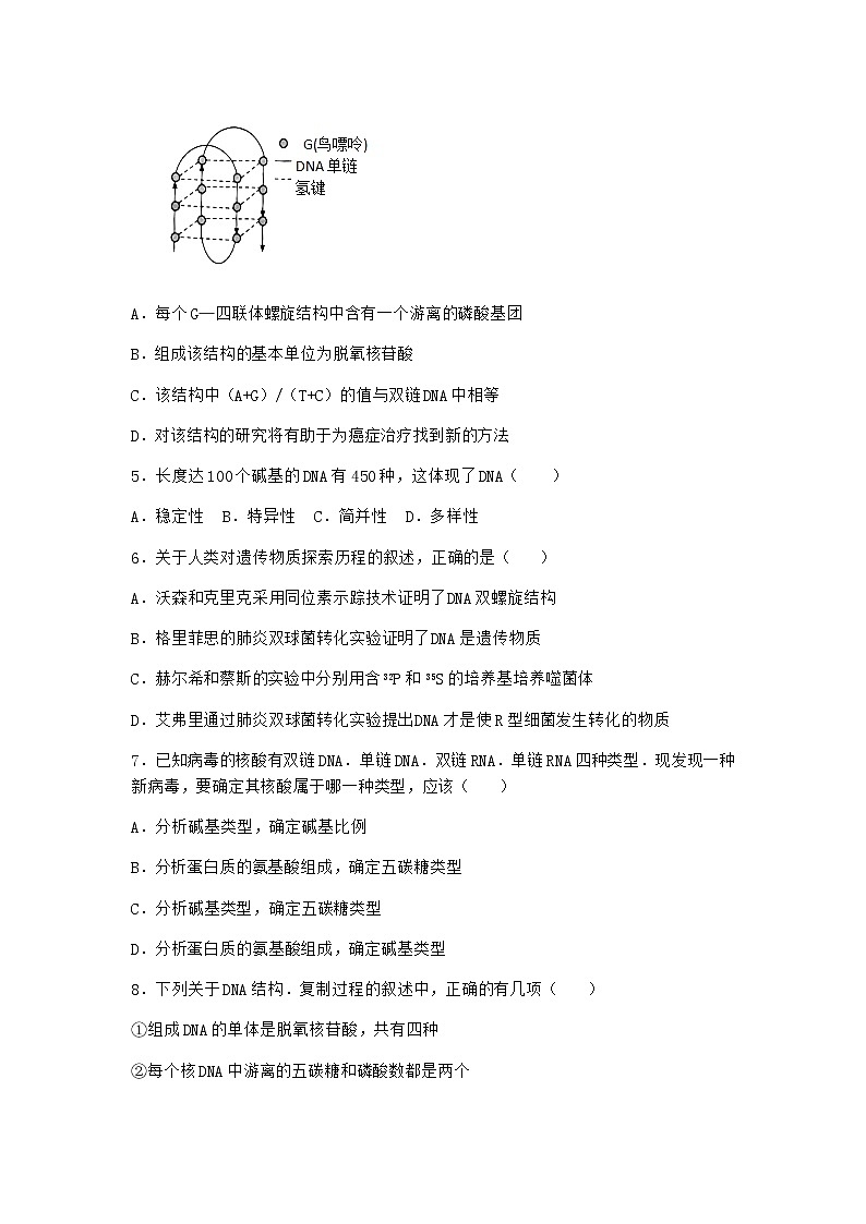 沪教版高中生物必修2第二节DNA分子的结构优质作业含答案302