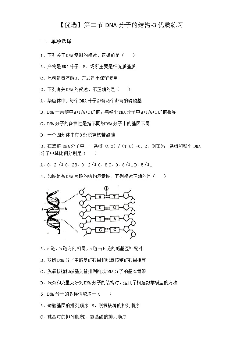 沪教版高中生物必修2第二节DNA分子的结构优质作业含答案401