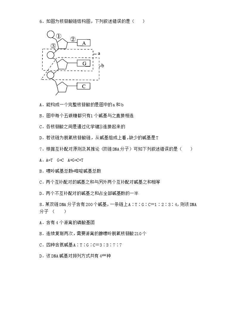 沪教版高中生物必修2第二节DNA分子的结构优质作业含答案402