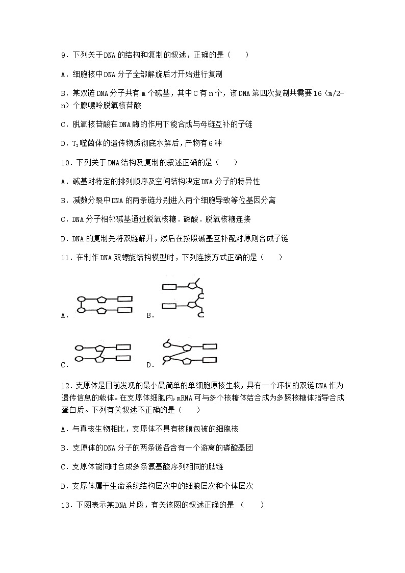 沪教版高中生物必修2第二节DNA分子的结构优质作业含答案403