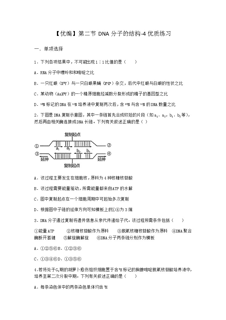 沪教版高中生物必修2第二节DNA分子的结构优质作业含答案5第1页