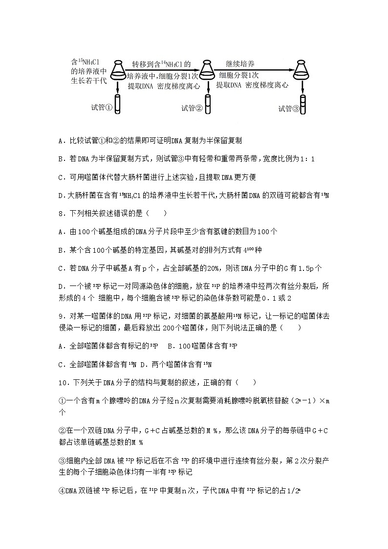 沪教版高中生物必修2第二节DNA分子的结构优质作业含答案5第3页