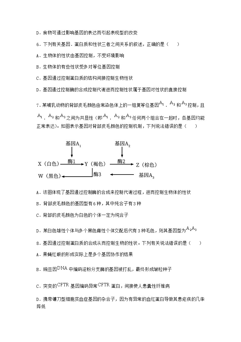 沪教版高中生物必修2第五节基因与性状的关系优质作业含答案1第3页