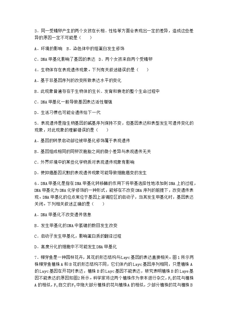 沪教版高中生物必修2第五节基因与性状的关系优质作业含答案2第2页