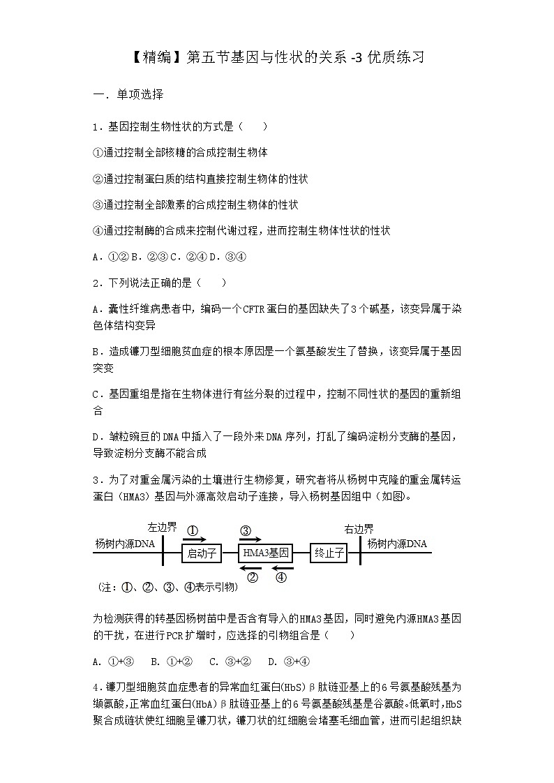 沪教版高中生物必修2第五节基因与性状的关系优质作业含答案4第1页