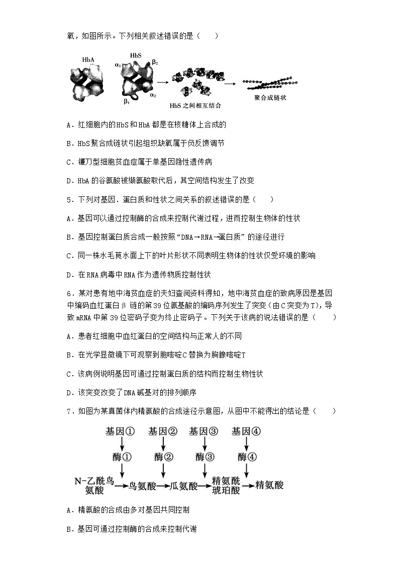 沪教版高中生物必修2第五节基因与性状的关系优质作业含答案4第2页