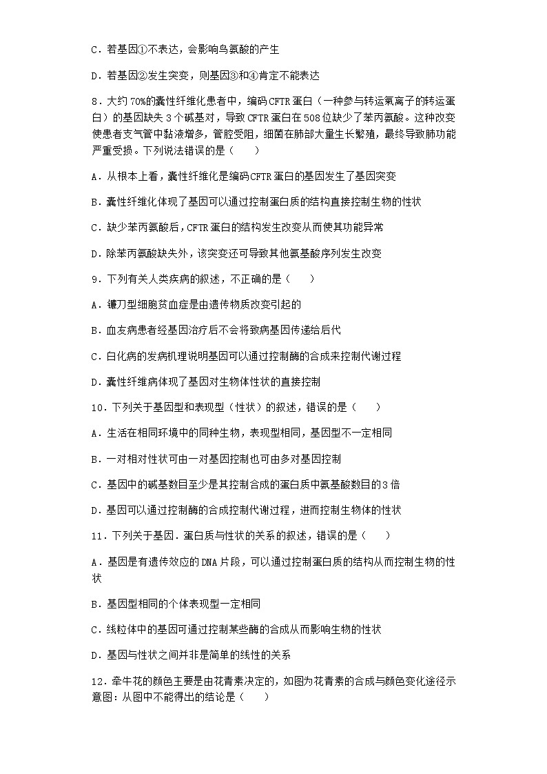 沪教版高中生物必修2第五节基因与性状的关系优质作业含答案4第3页