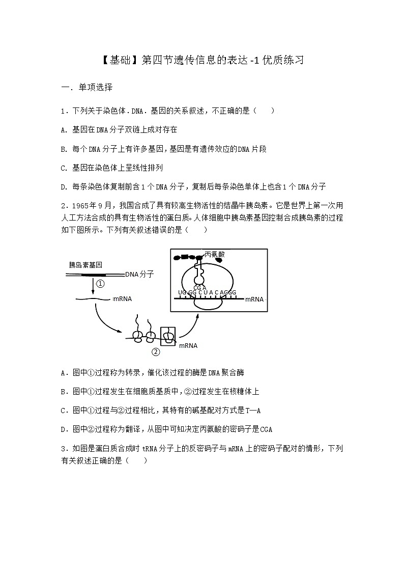 沪教版高中生物必修2第四节遗传信息的表达优质作业含答案1第1页