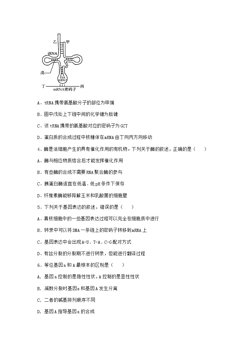 沪教版高中生物必修2第四节遗传信息的表达优质作业含答案1第2页