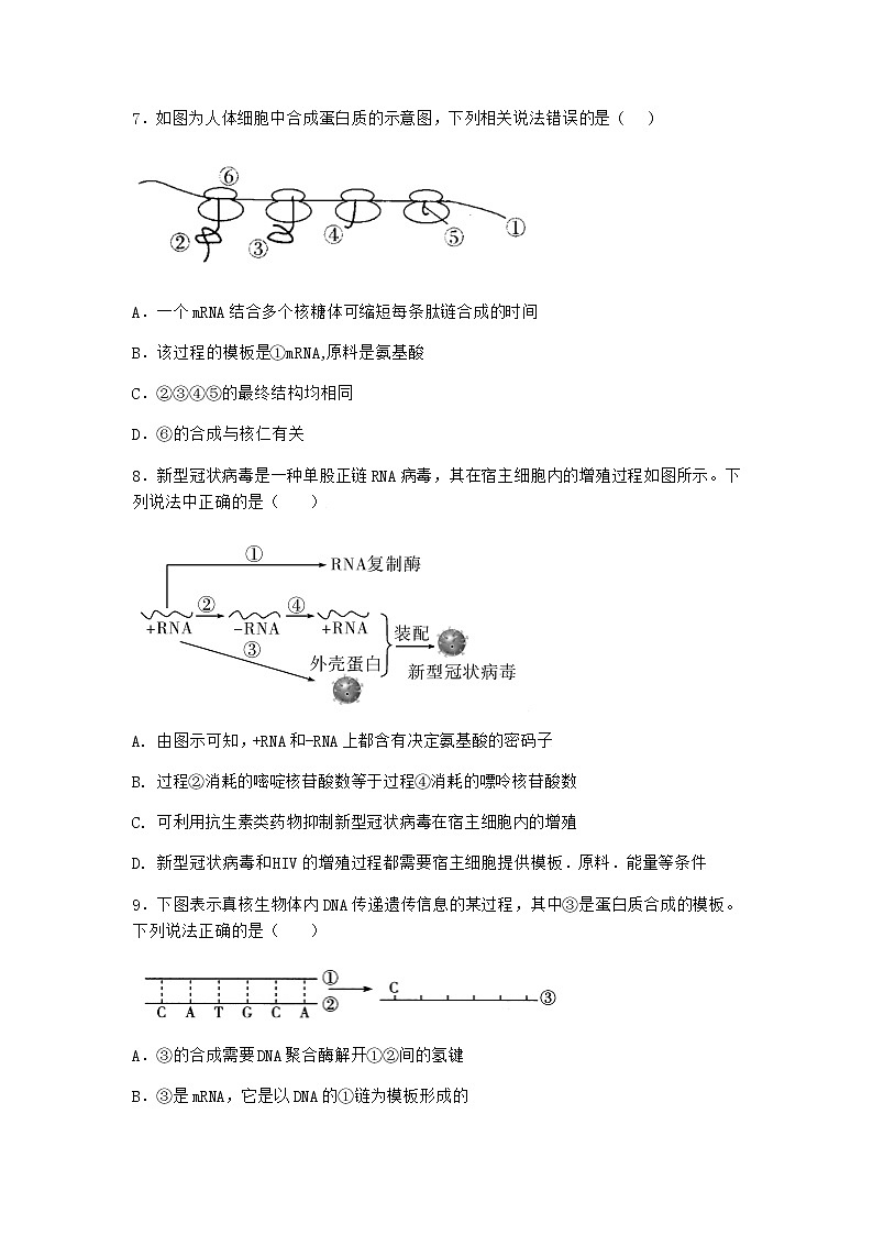 沪教版高中生物必修2第四节遗传信息的表达优质作业含答案1第3页