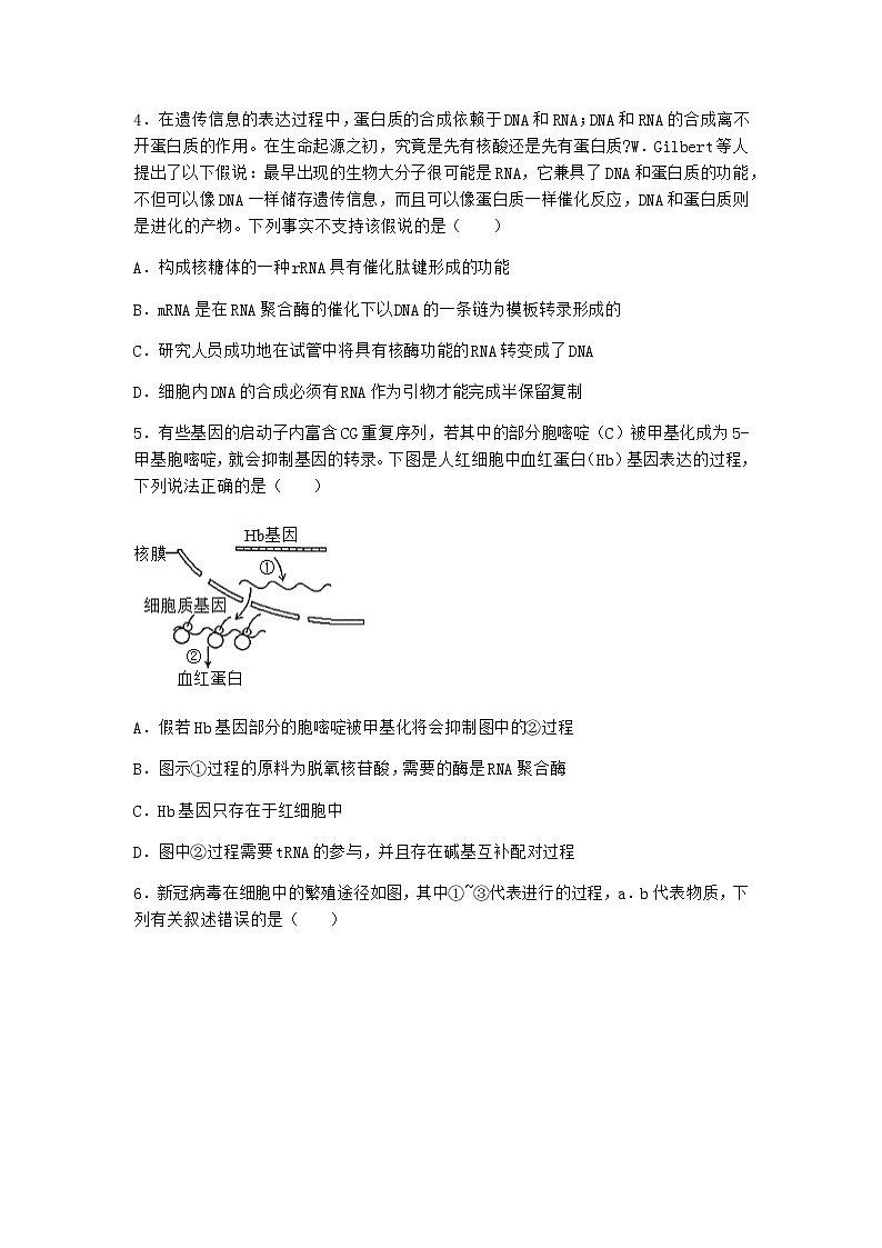 沪教版高中生物必修2第四节遗传信息的表达优质作业含答案2第2页
