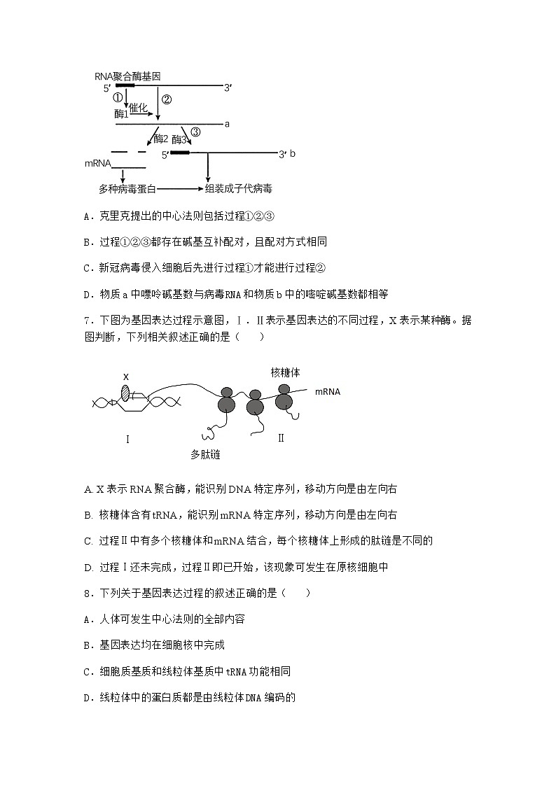 沪教版高中生物必修2第四节遗传信息的表达优质作业含答案2第3页