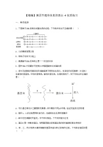 生物沪科版 (2019)第一章 遗传信息主要编码在DNA分子上第四节 遗传信息的表达同步练习题