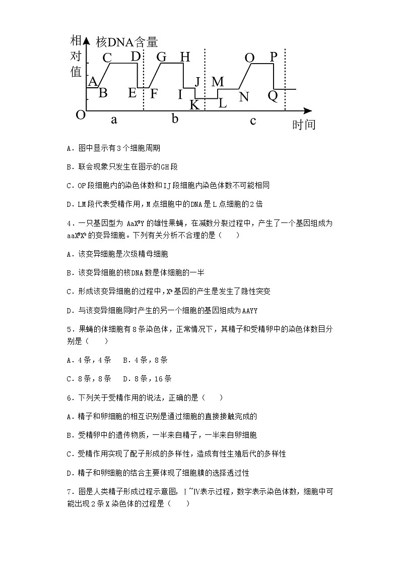 沪教版高中生物必修2第一节减数分裂产生染色体数量减半的生殖细胞优质作业含答案102