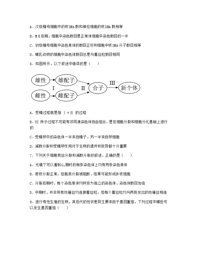 沪教版高中生物必修2第一节减数分裂产生染色体数量减半的生殖细胞优质作业含答案202