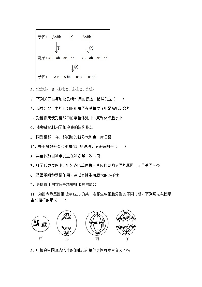 沪教版高中生物必修2第一节减数分裂产生染色体数量减半的生殖细胞优质作业含答案203