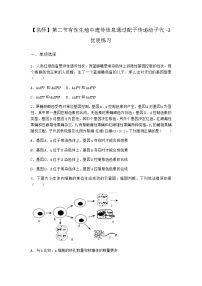 沪科版 (2019)必修2《遗传与进化》第二节 有性生殖中遗传信息通过配子传递给子代课后复习题