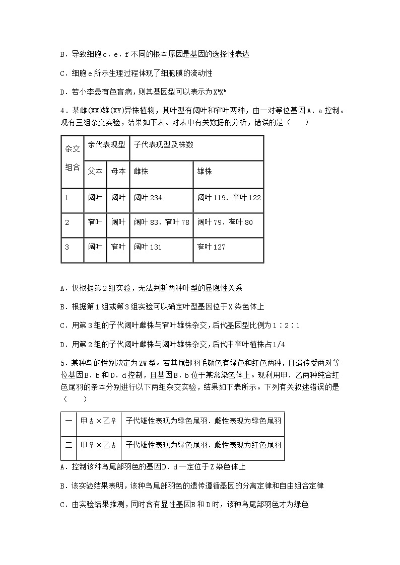 沪教版高中生物必修2第二节有性生殖中遗传信息通过配子传递给子代优质作业含答案102