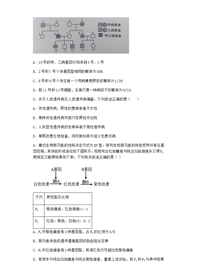 沪教版高中生物必修2第二节有性生殖中遗传信息通过配子传递给子代优质作业含答案202