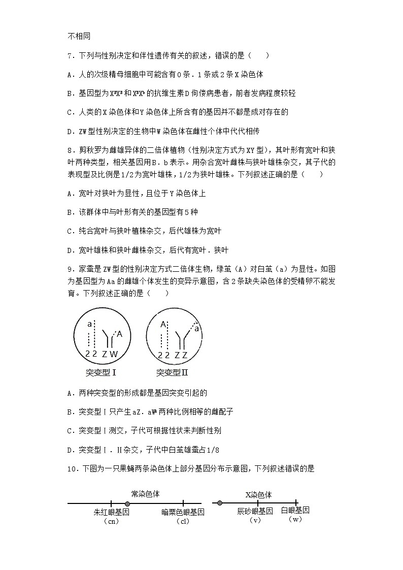 沪教版高中生物必修2第二节有性生殖中遗传信息通过配子传递给子代优质作业含答案203