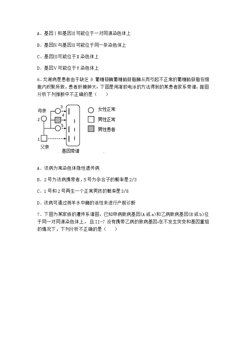 沪教版高中生物必修2第二节有性生殖中遗传信息通过配子传递给子代优质作业含答案3第3页