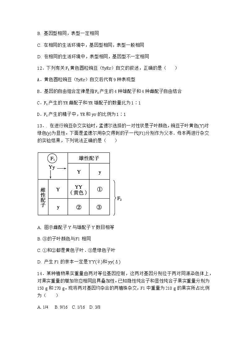 沪教版高中生物必修2第一节孟德尔遗传实验的科学方法优质作业含答案203