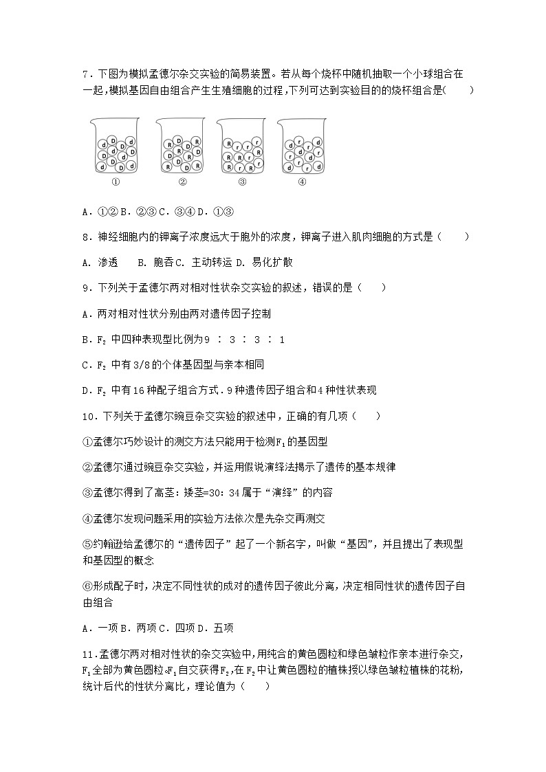 沪教版高中生物必修2第四节有性生殖中发生基因的自由组合优质作业含答案1第3页