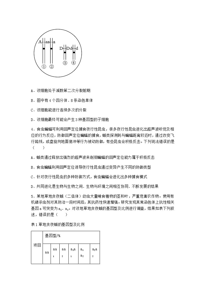 沪教版高中生物必修2第一节基因突变与基因重组优质作业含答案202