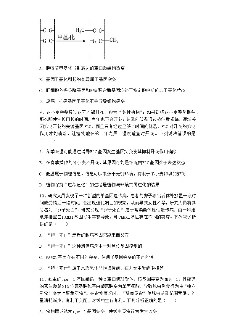 沪教版高中生物必修2第一节基因突变与基因重组优质作业含答案3第3页