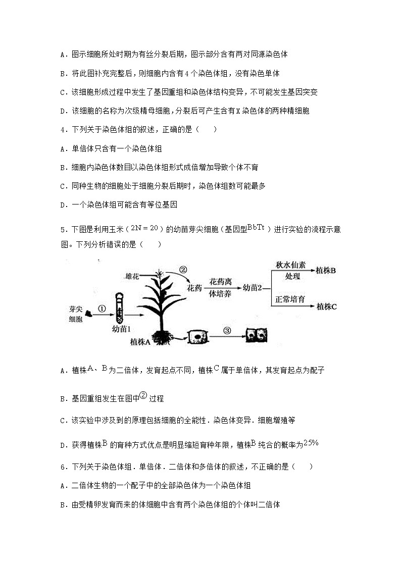 沪教版高中生物必修2第二节染色体变异优质作业含答案402