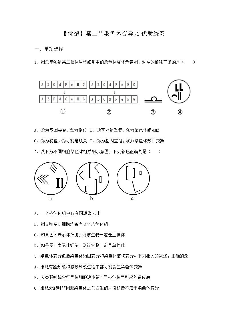 沪教版高中生物必修2第二节染色体变异优质作业含答案5第1页