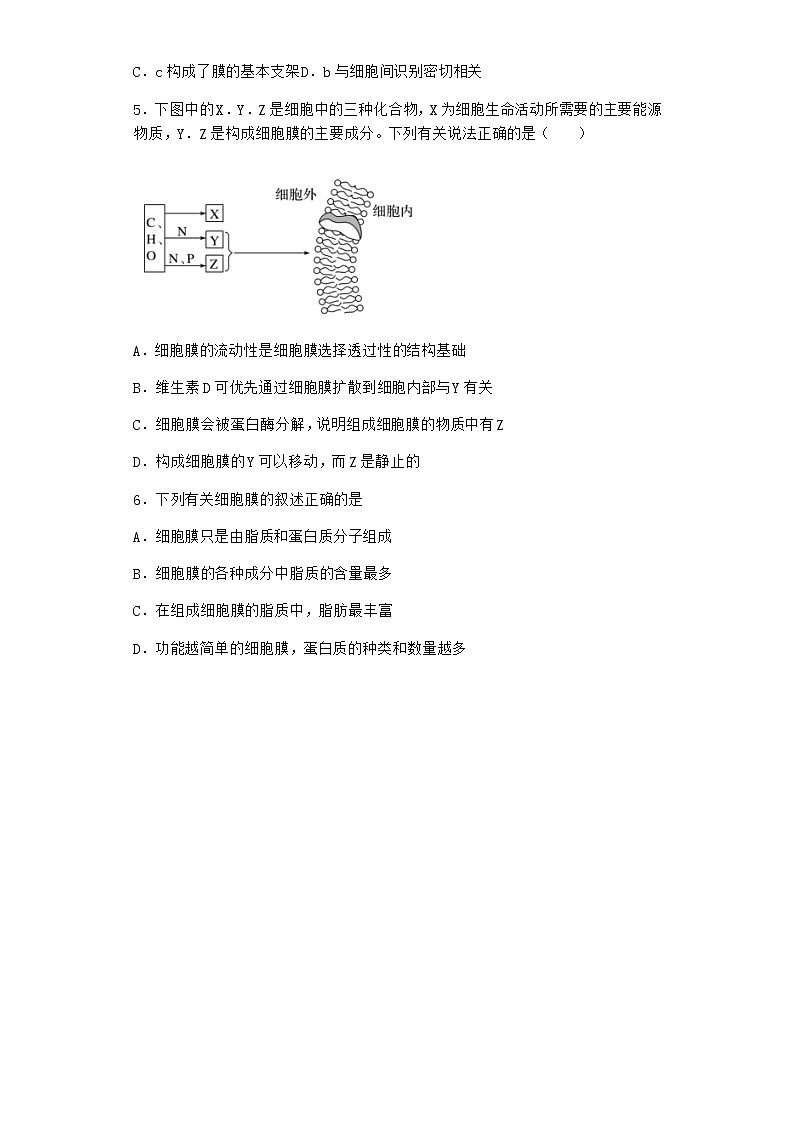 沪教版高中生物必修1第一节细胞由都由质膜包裹作业含答案1第2页