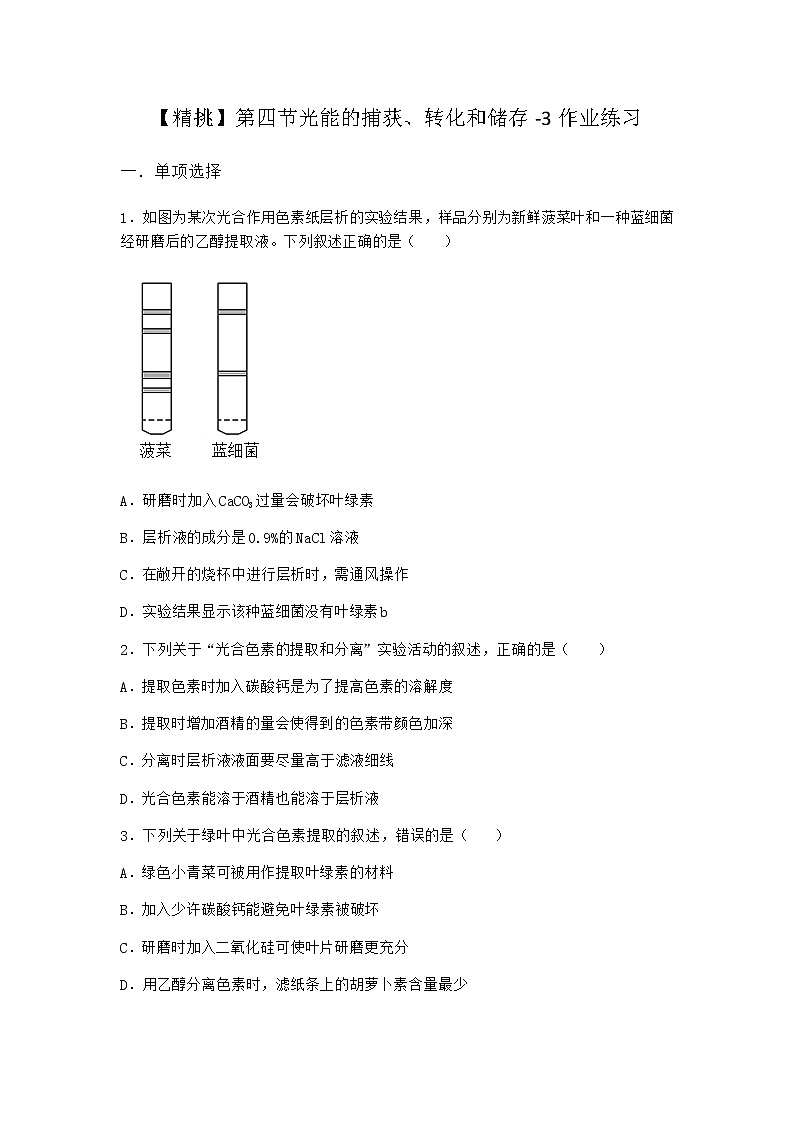 沪教版高中生物必修1第四节光能的捕获、转化和储存作业含答案3第1页