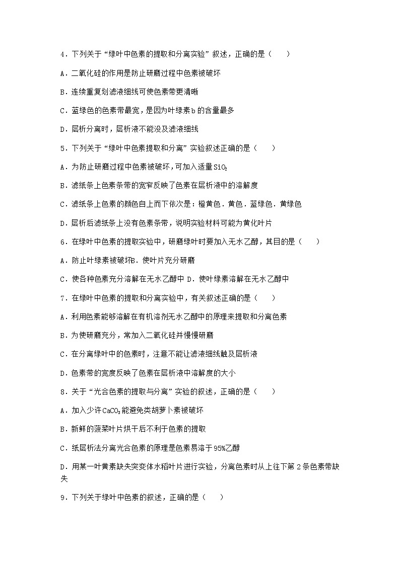 沪教版高中生物必修1第四节光能的捕获、转化和储存作业含答案3第2页