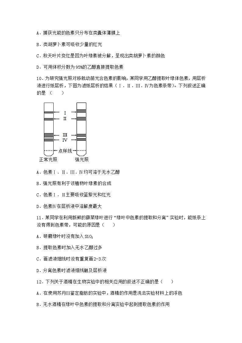 沪教版高中生物必修1第四节光能的捕获、转化和储存作业含答案3第3页