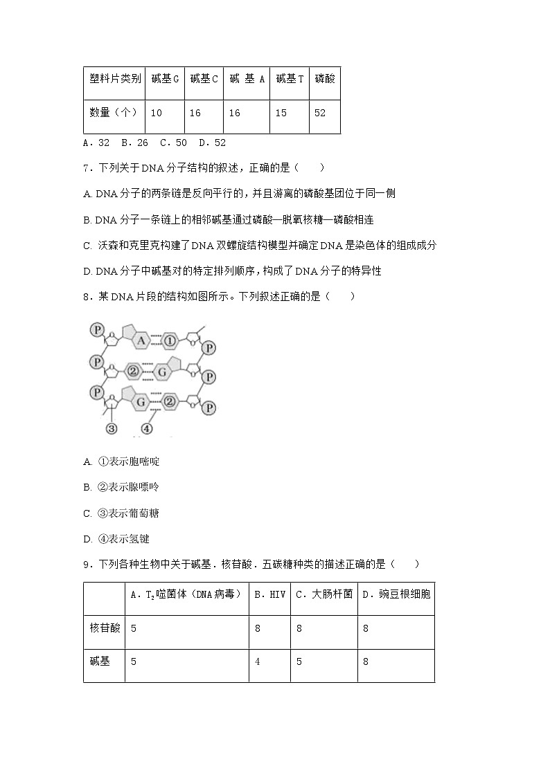 沪教版高中生物必修2第二节DNA分子的结构作业含答案1第2页