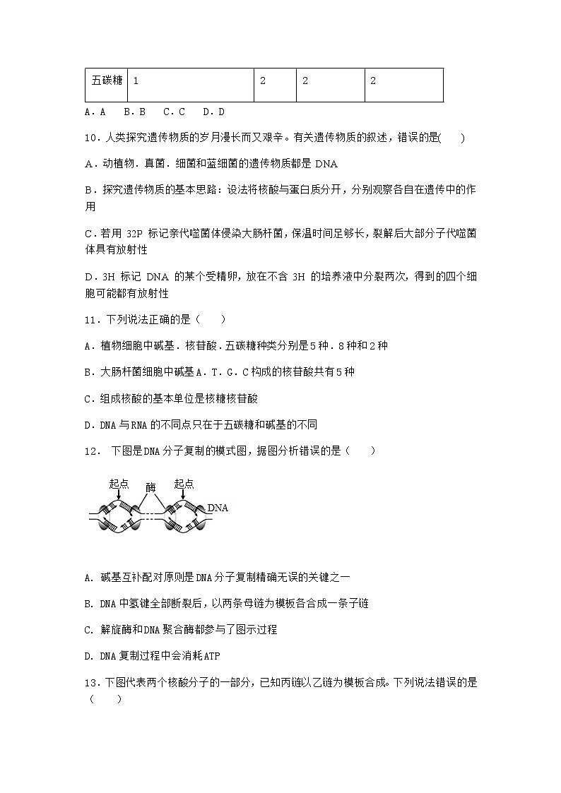 沪教版高中生物必修2第二节DNA分子的结构作业含答案1第3页