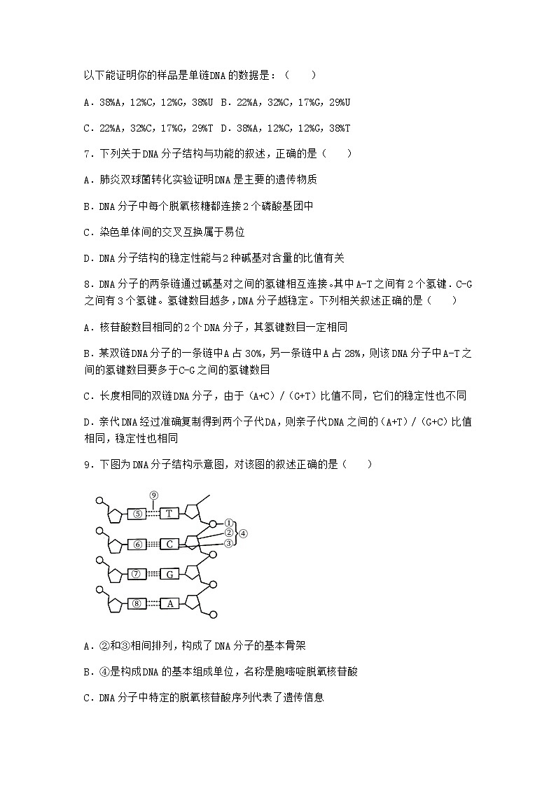 沪教版高中生物必修2第二节DNA分子的结构作业含答案403