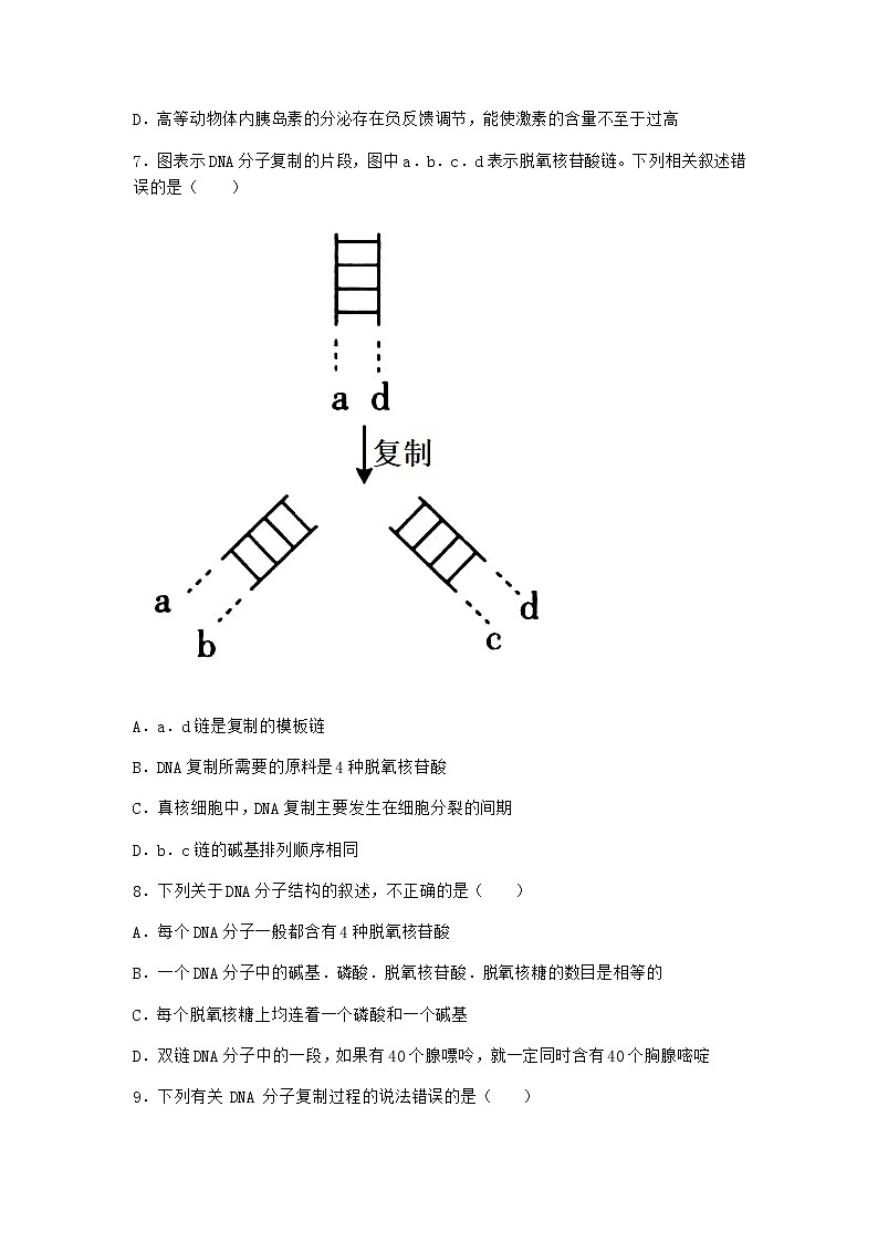 沪教版高中生物必修2第二节DNA分子的结构作业含答案5第3页