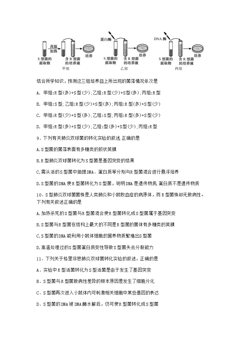 沪教版高中生物必修2第三节DNA分子的复制作业含答案1第3页